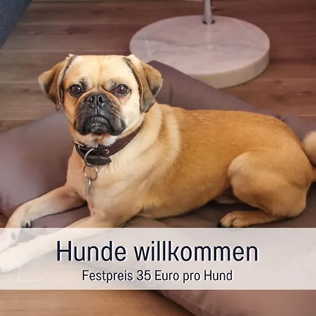 Marks Neu Appartamento